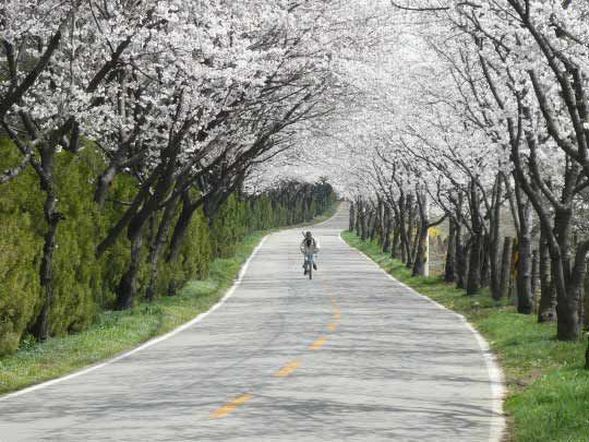 熊浦松川村