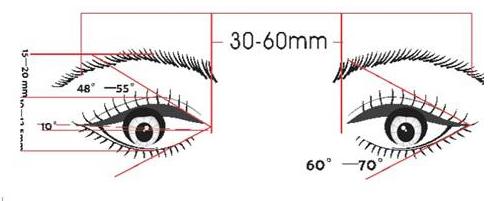 漂亮眼睛的标准